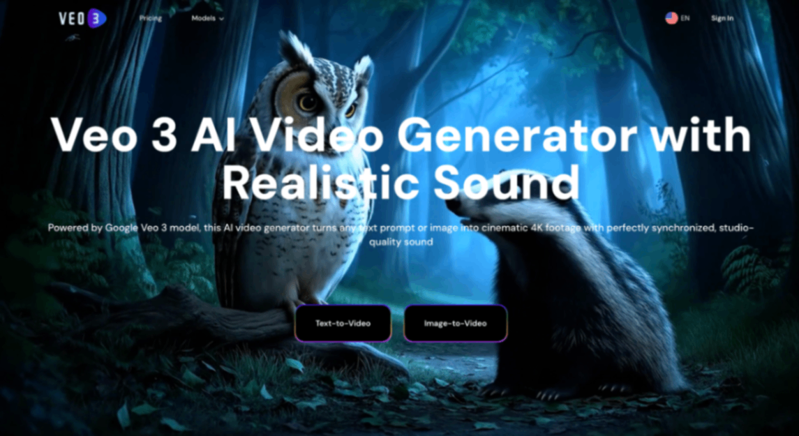 Veo 3 AI Video Generator screenshot and logo