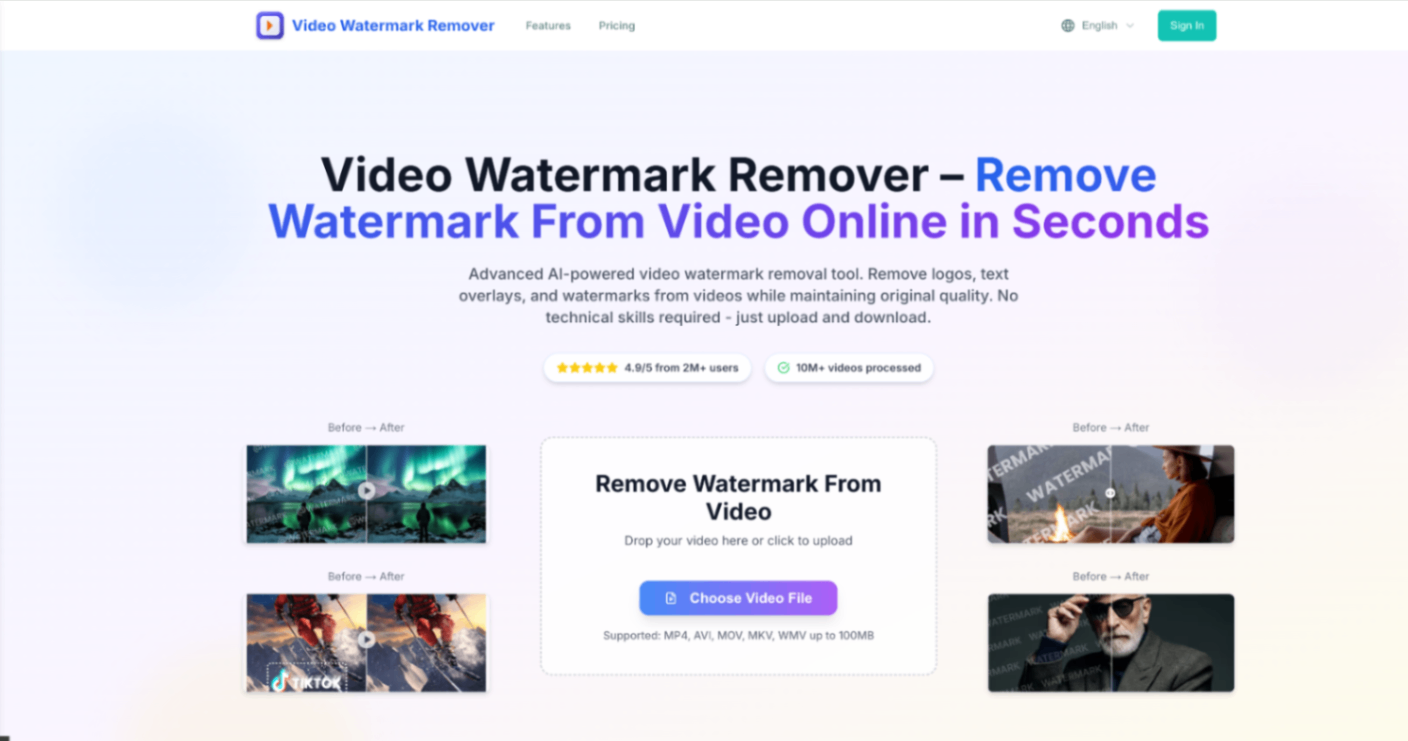 videowatermarkremover screenshot and logo