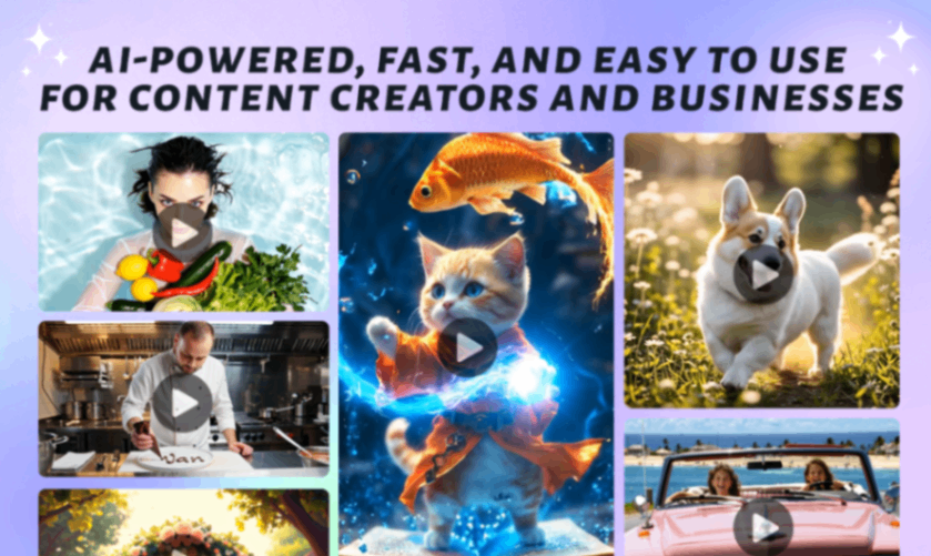 wan2video screenshot and logo