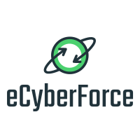eCyberForce LLC screenshot and logo