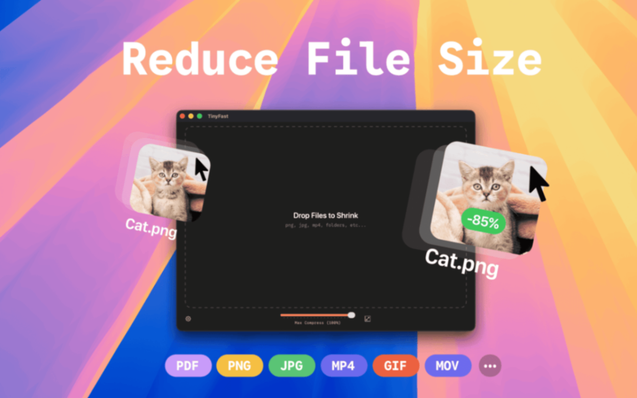 TinyFast screenshot and logo