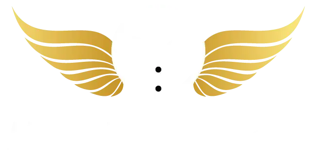 Hızlı Vale Çağır screenshot and logo