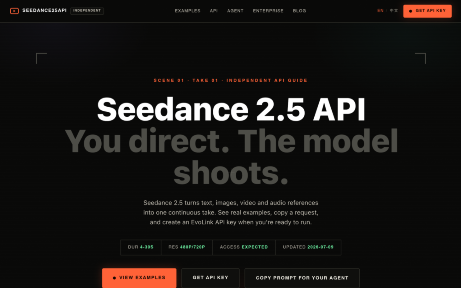 Seedance 2.5 API screenshot and logo