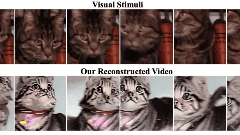 ai-reconstructs-high-quality-video-directly-from-brain image