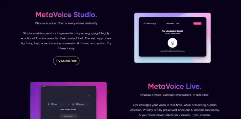 Metavoice AI screenshot and logo