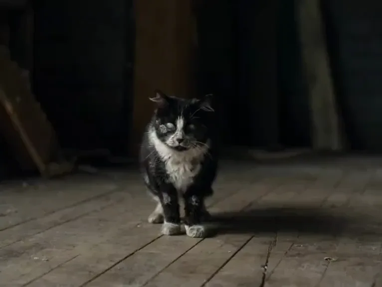 Zombie Trend AI video generator preview