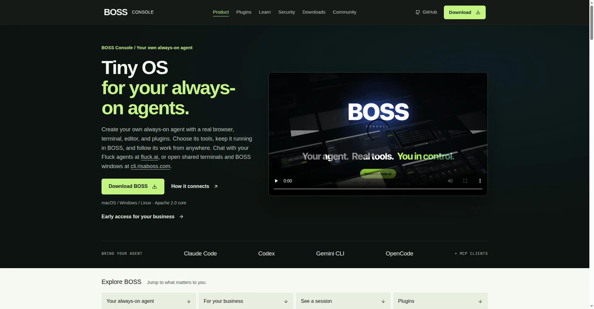 BOSS Console homepage