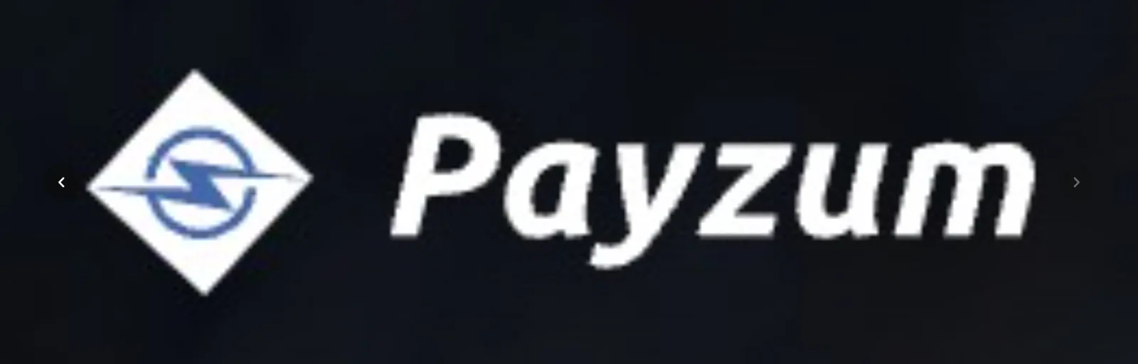Payzum preview