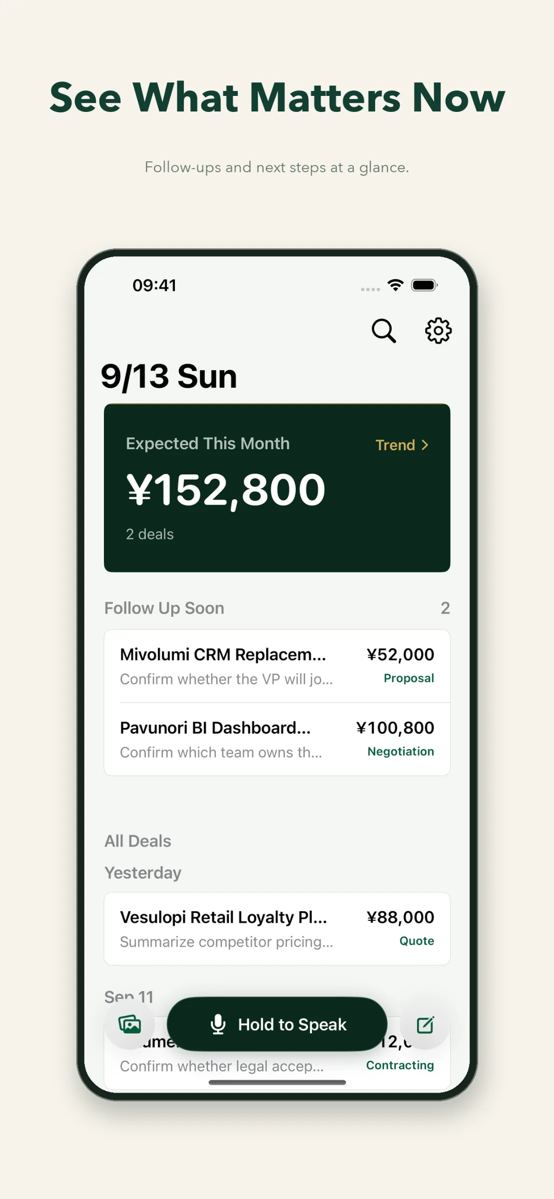 BlynkAI Clinch personal AI sales copilot for iPhone