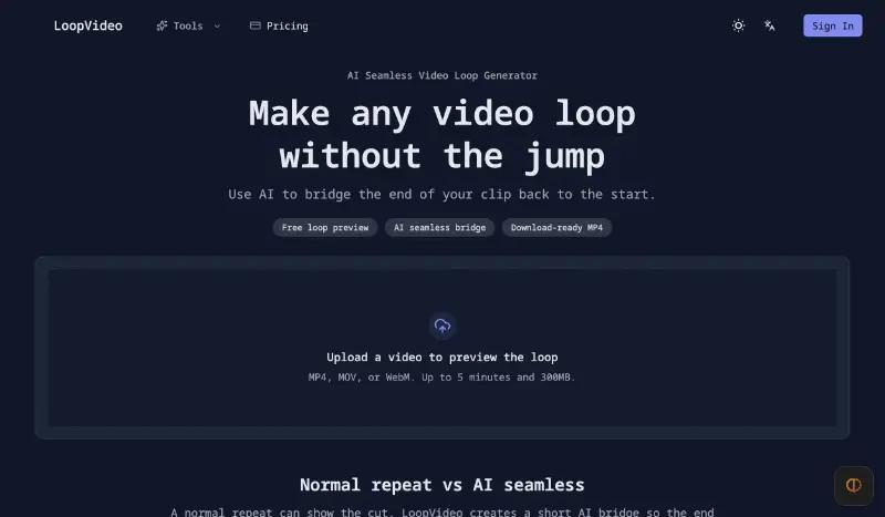 LoopVideo preview
