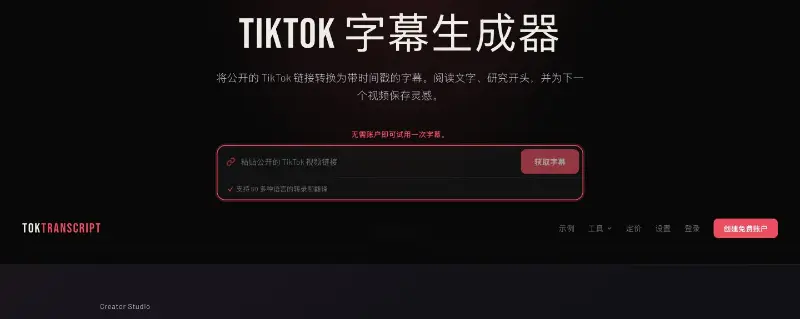 TokTranscript preview