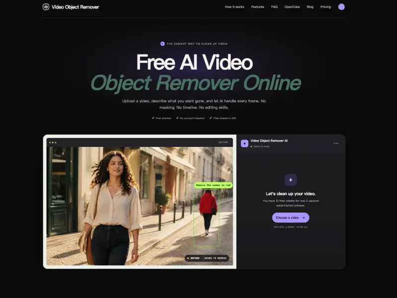 Video Object Remover preview