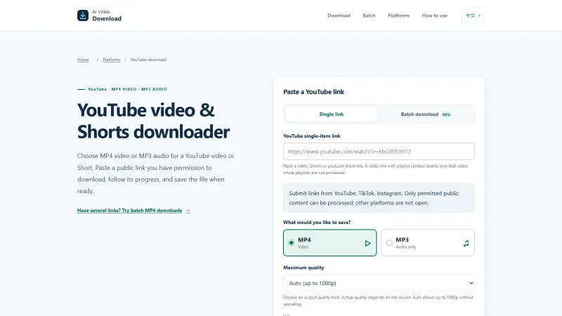 AI Video Download preview